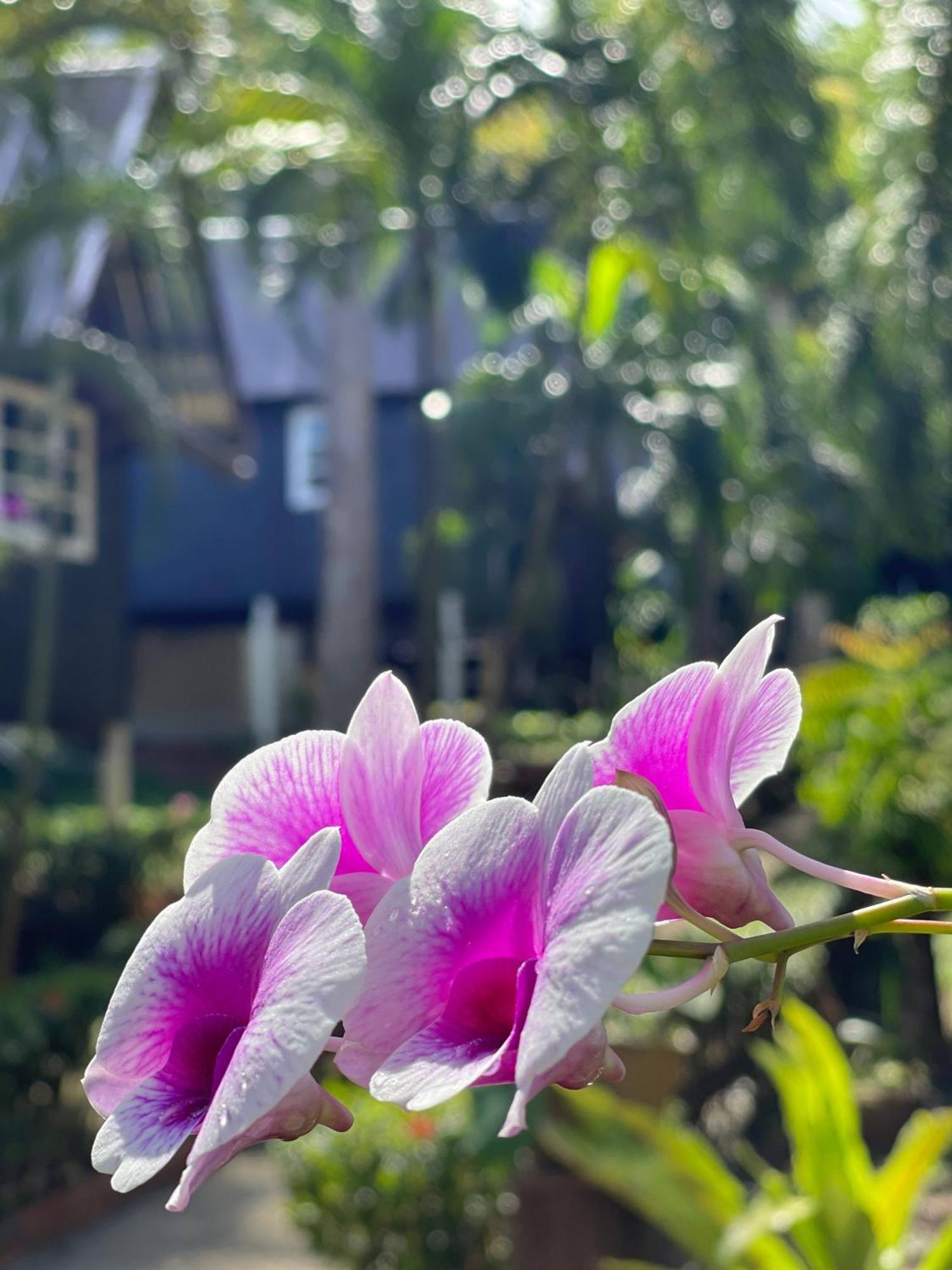 Vanara Bungalows Koh Chang Exteriör bild